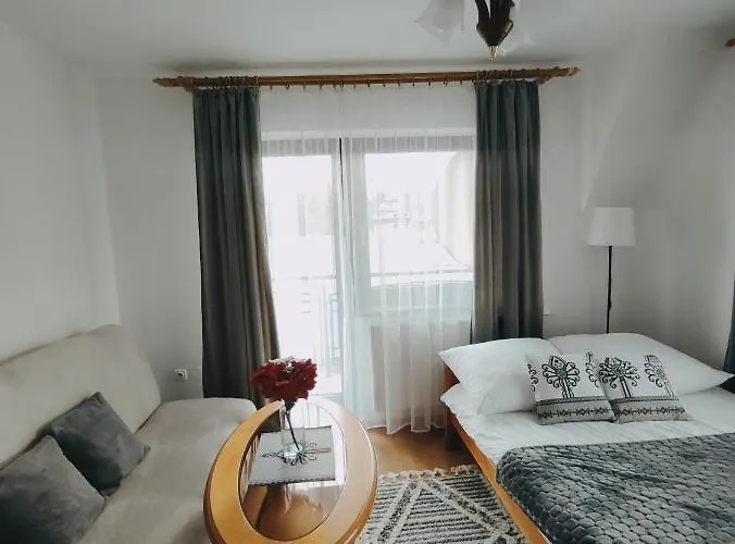 בית אירוח U Dany Witów